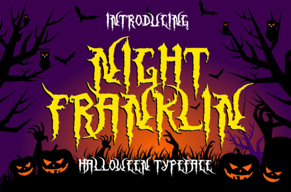 Boost Your Campaign with Night Franklin Font