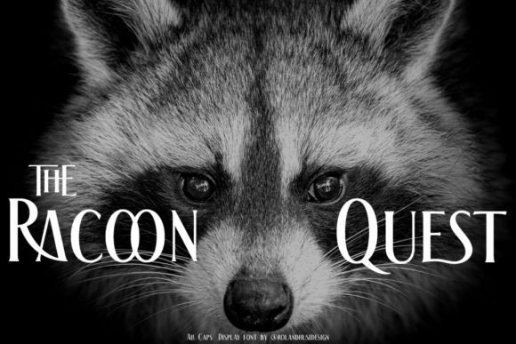 The Racoon Quest Font for Bold Web Design